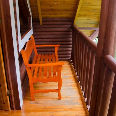 Suenos Del Bosque Lodge Сан-Херардо-де-Дота Номер фото