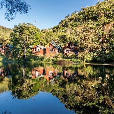 Suenos Del Bosque Lodge Сан-Херардо-де-Дота Екстер'єр фото
