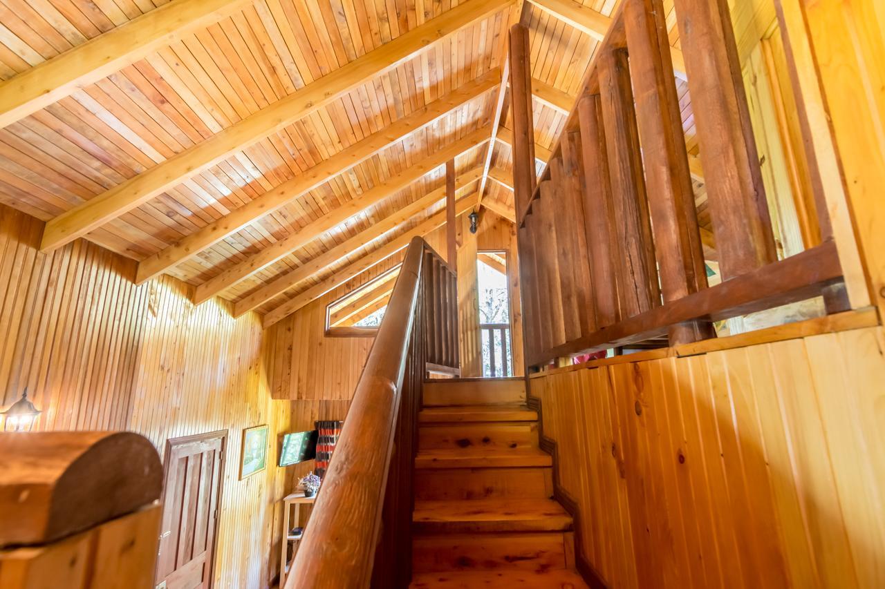 Suenos Del Bosque Lodge Сан-Херардо-де-Дота Екстер'єр фото
