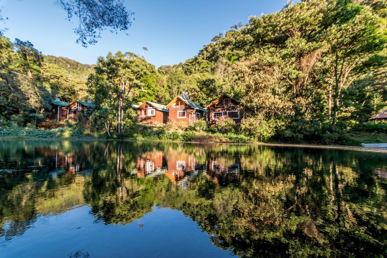 Suenos Del Bosque Lodge Сан-Херардо-де-Дота Екстер'єр фото